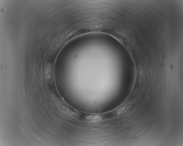 X0000056370133200508291411