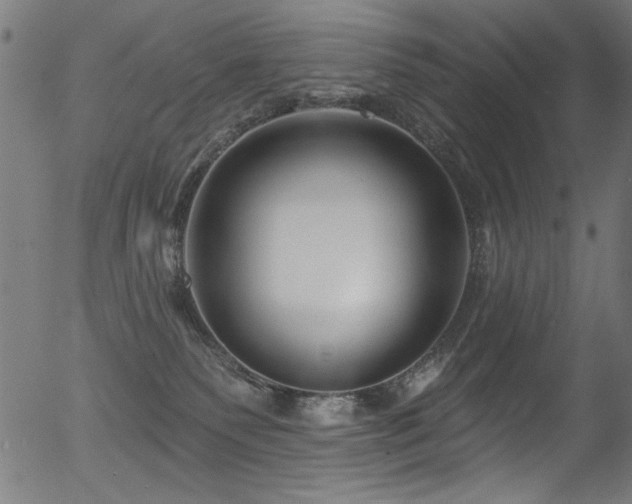 X0000056370135200508291411