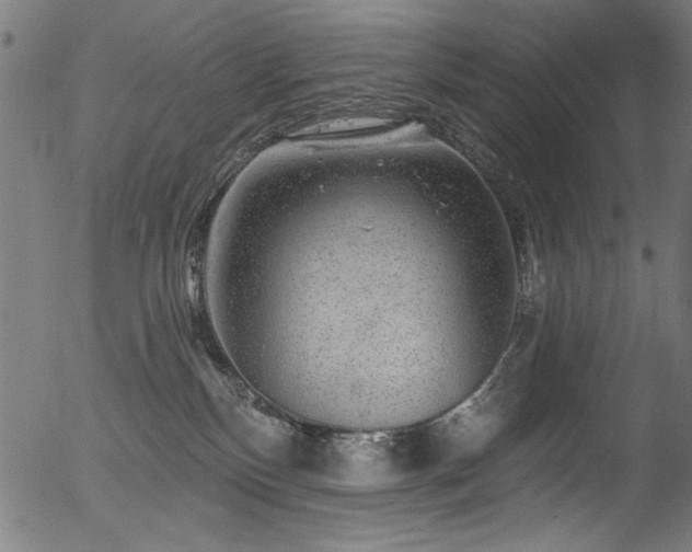 X0000056370136200508291411