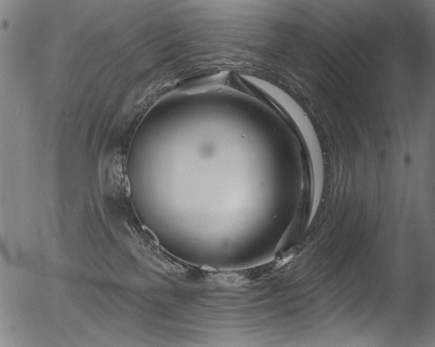 X0000056370137200508291411