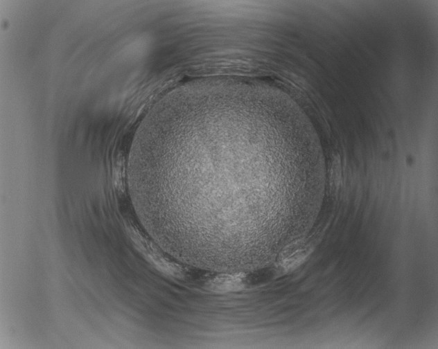 X0000056370138200508291411