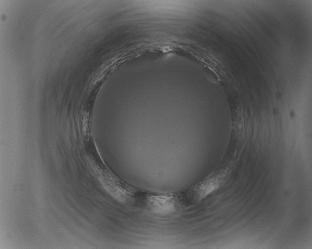 X0000056370139200508291411