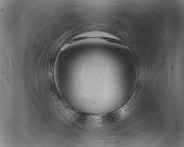 X0000056370140200508291411