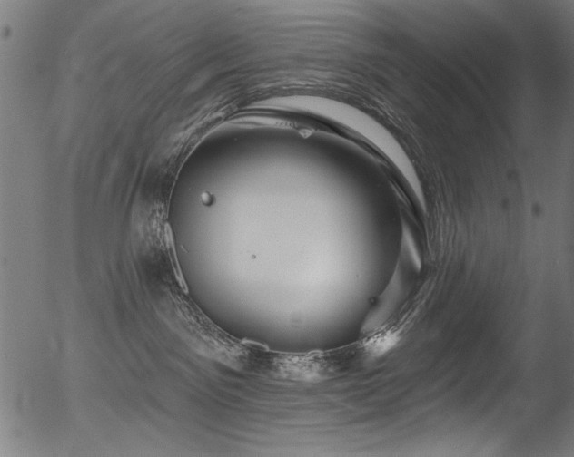 X0000056370141200508291411