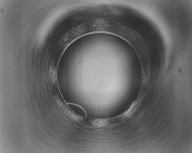 X0000056370142200508291411