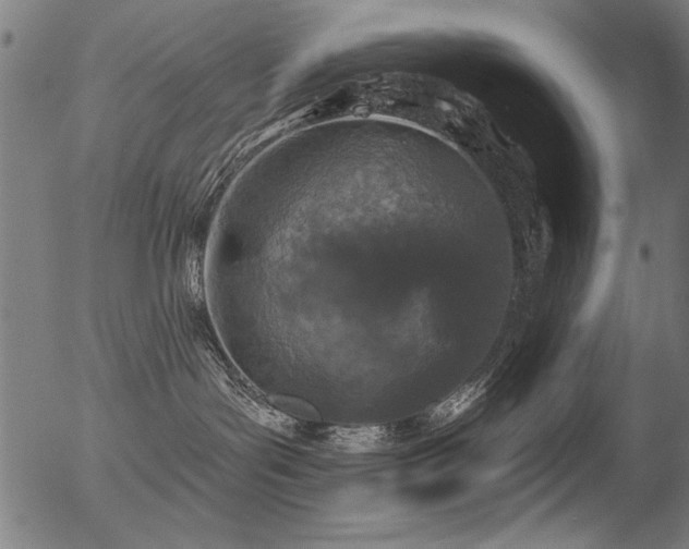 X0000056370143200508291411