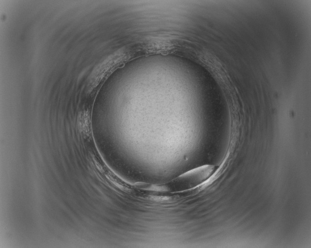 X0000056370144200508291411