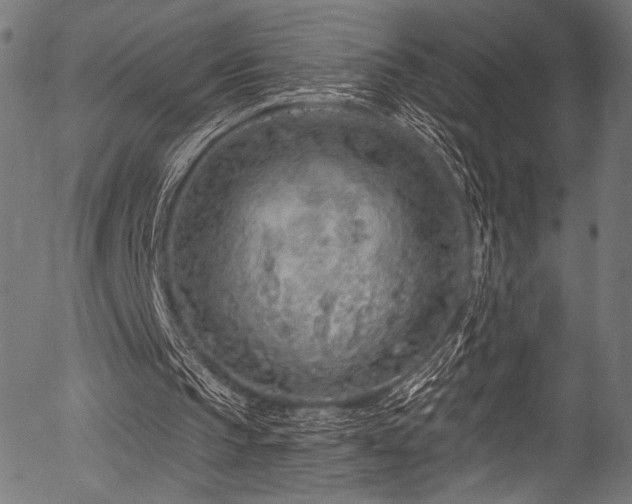 X0000056370145200508291410