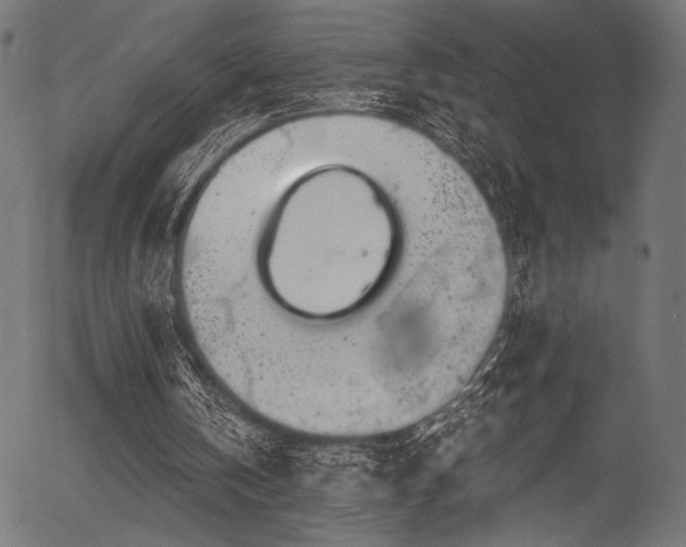 X0000056370146200508291410