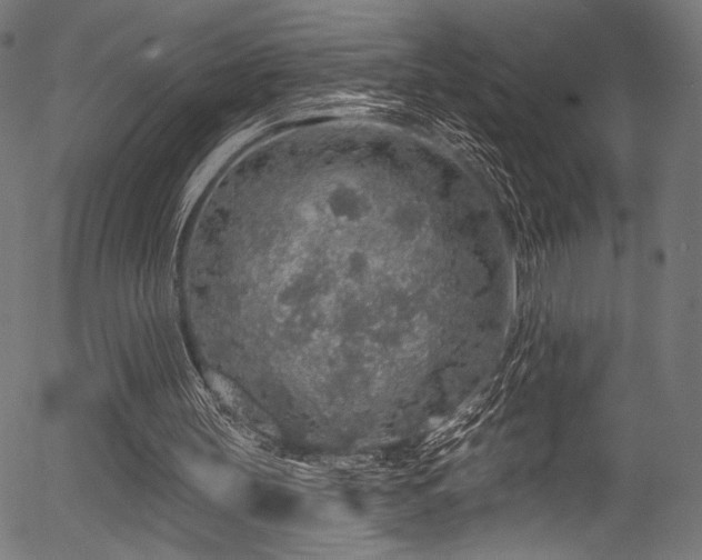 X0000056370147200508291410