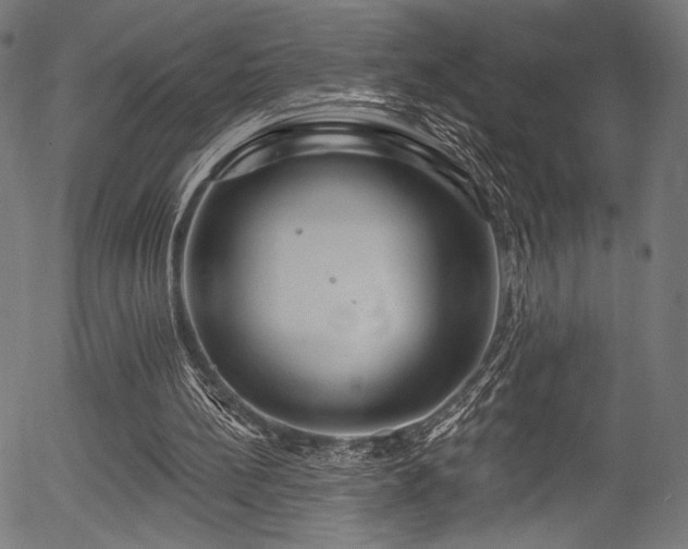 X0000056370148200508291410