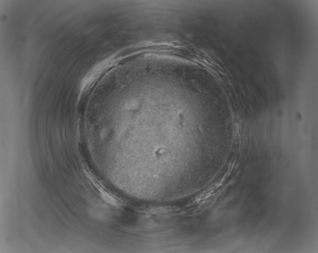 X0000056370149200508291410