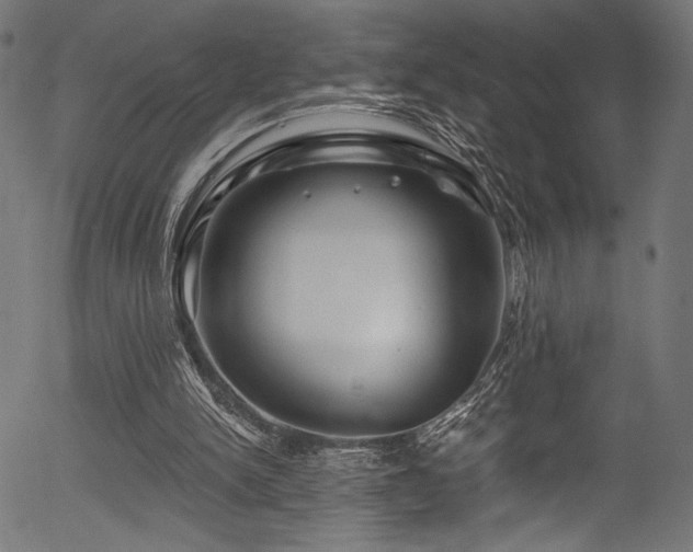 X0000056370150200508291410