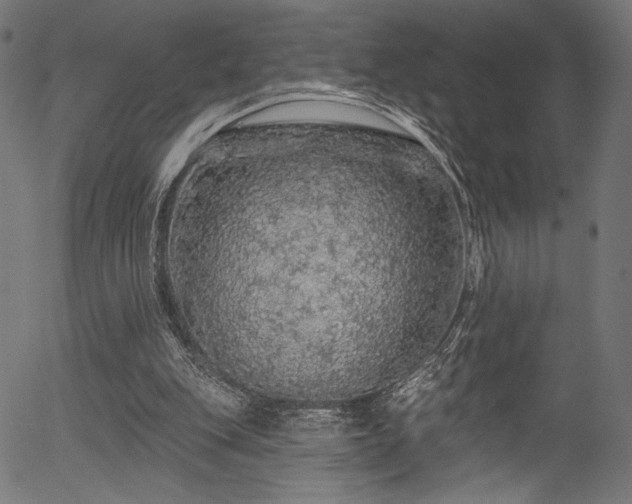 X0000056370151200508291410