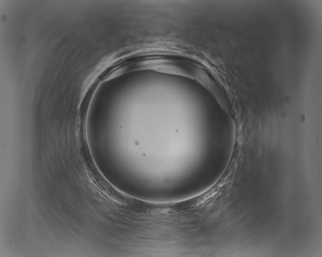 X0000056370152200508291410