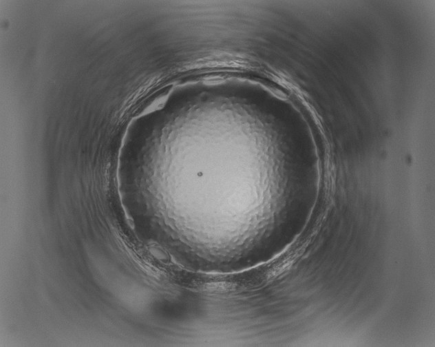 X0000056370153200508291410