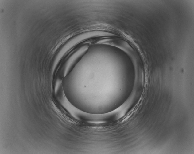 X0000056370154200508291410