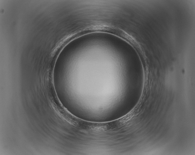 X0000056370155200508291410