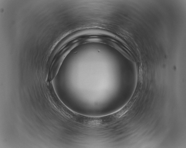 X0000056370156200508291410