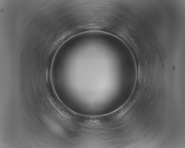 X0000056370157200508291410