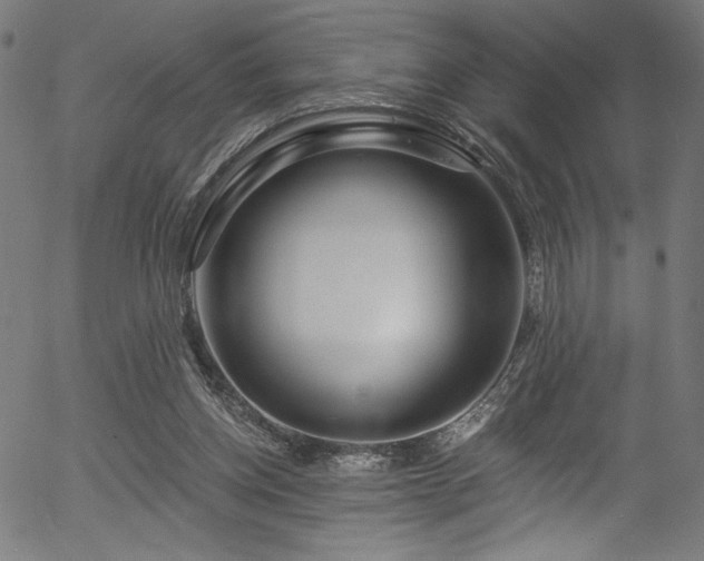 X0000056370158200508291410