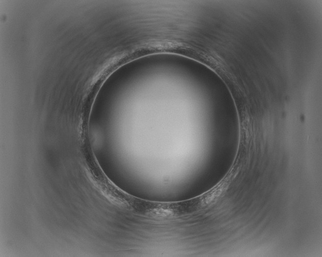 X0000056370159200508291410