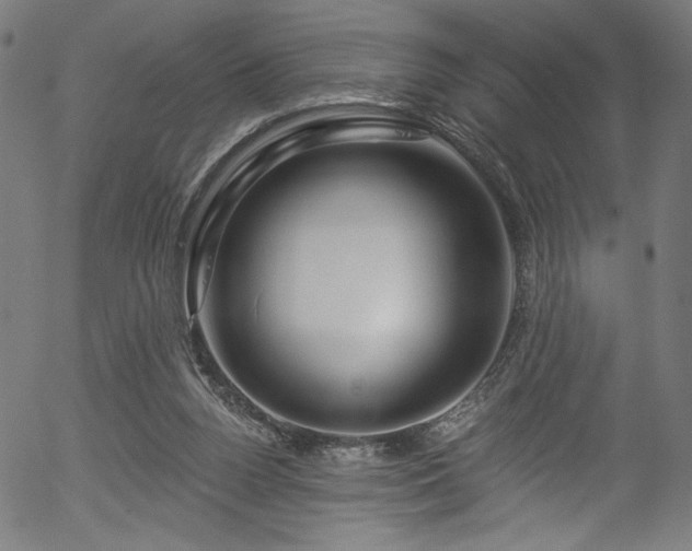 X0000056370160200508291410