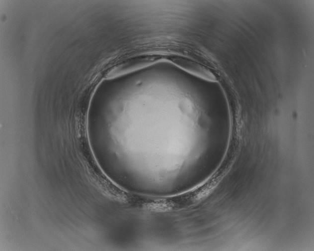 X0000056370161200508291410