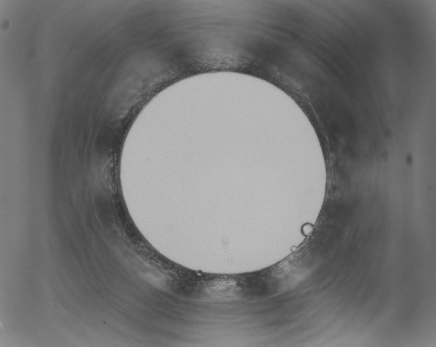 X0000056370162200508291410