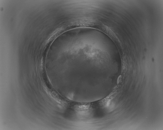 X0000056370163200508291410