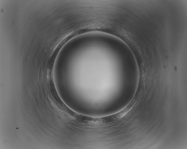 X0000056370164200508291410