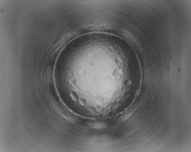 X0000056370165200508291410