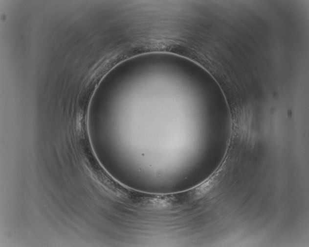 X0000056370166200508291410