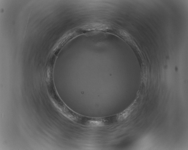 X0000056370167200508291410