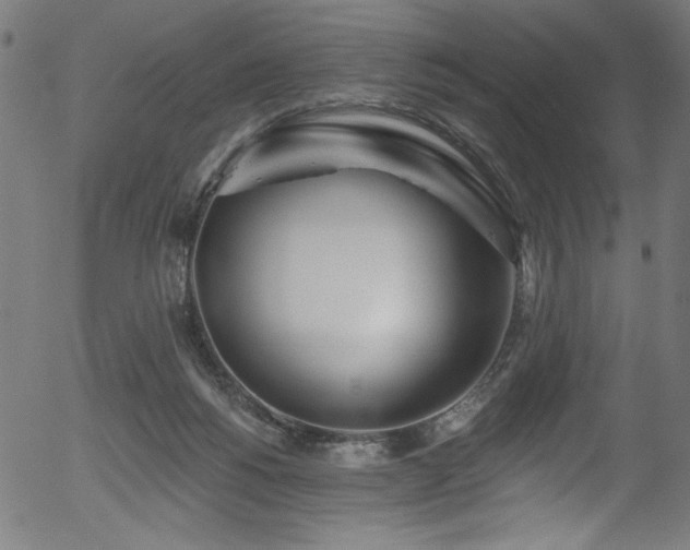 X0000056370168200508291410