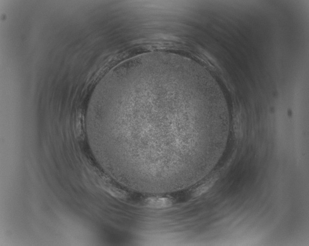 X0000056370169200508291410