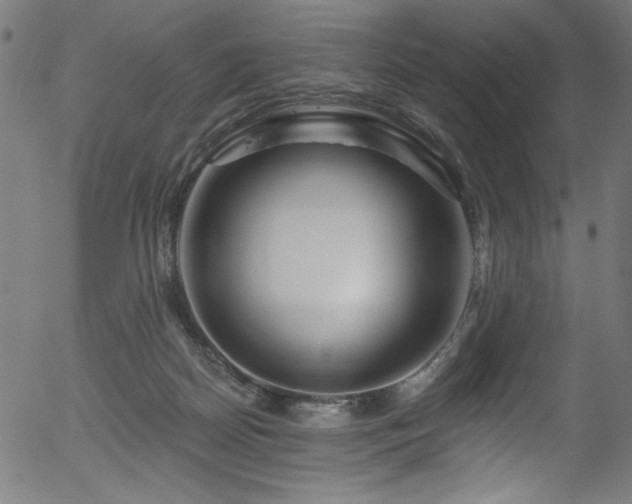 X0000056370170200508291410