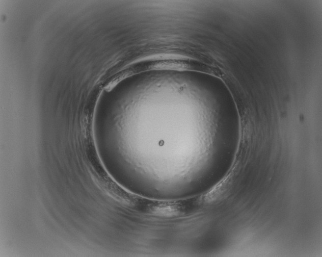 X0000056370171200508291410