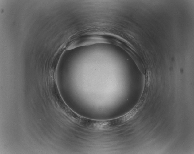 X0000056370172200508291410