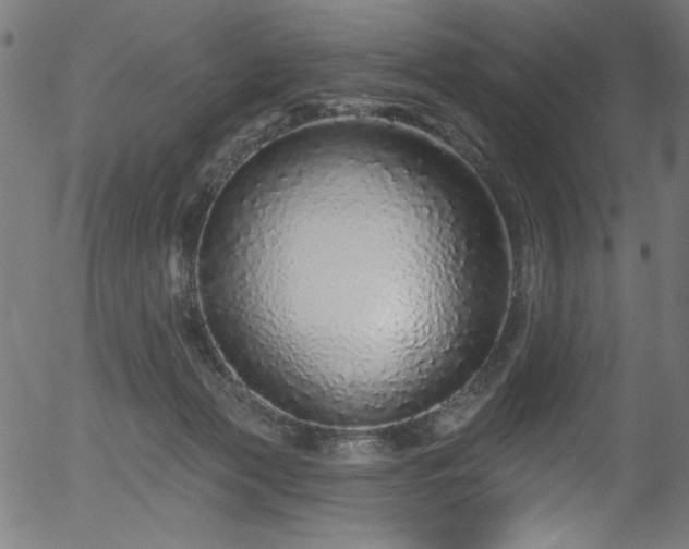 X0000056370173200508291410