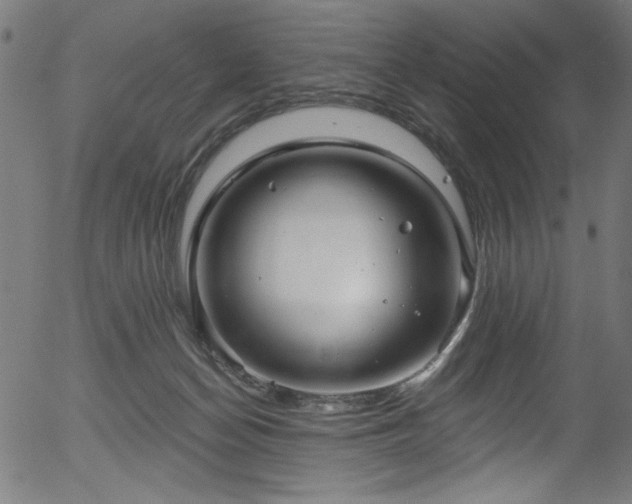 X0000056370174200508291410