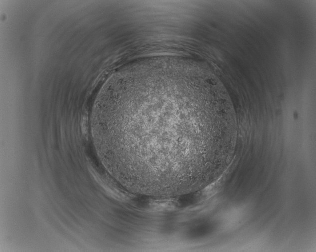 X0000056370175200508291410