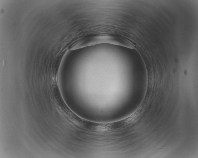 X0000056370176200508291410