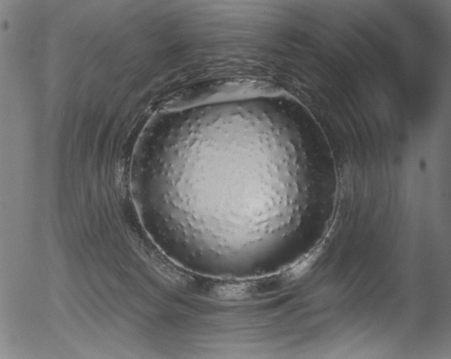 X0000056370178200508291410