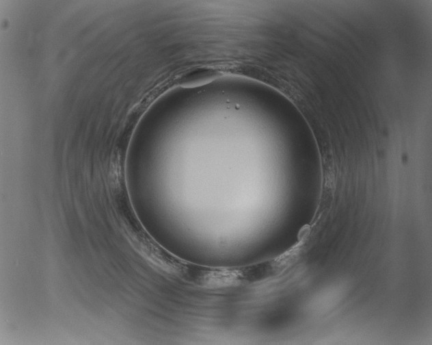 X0000056370179200508291410