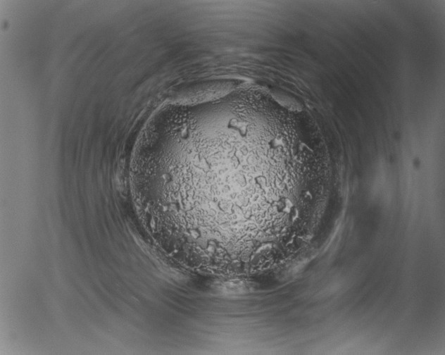 X0000056370181200508291410