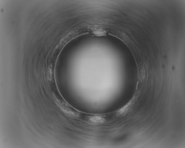 X0000056370183200508291410