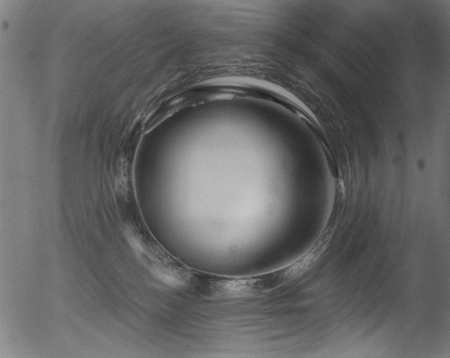 X0000056370184200508291410