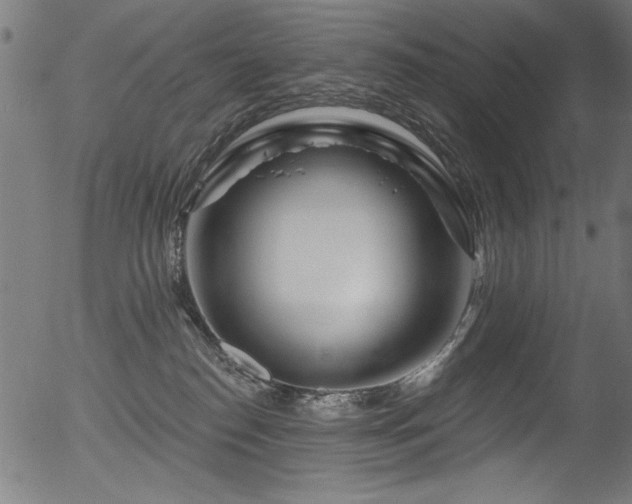 X0000056370186200508291410