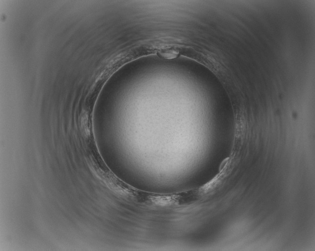 X0000056370187200508291410